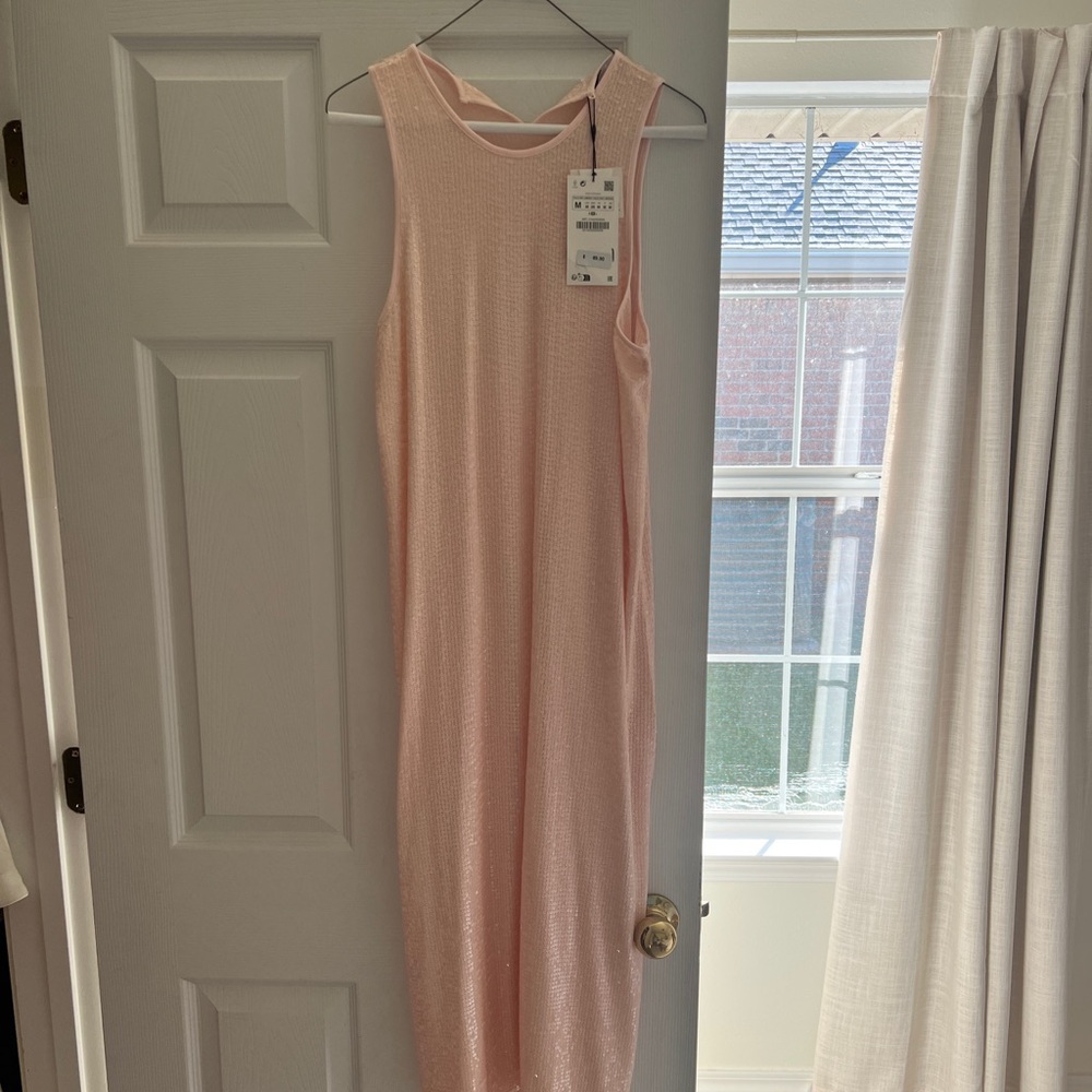 Sequin Zara midi